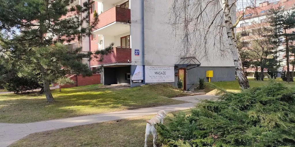 Bali Bali SPA | masaże | kosmetologia | joga - Zdjęcie 6