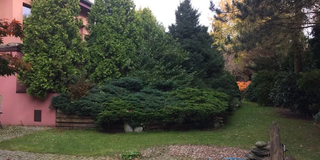 Spa Bylinowa - Zdjęcie 4