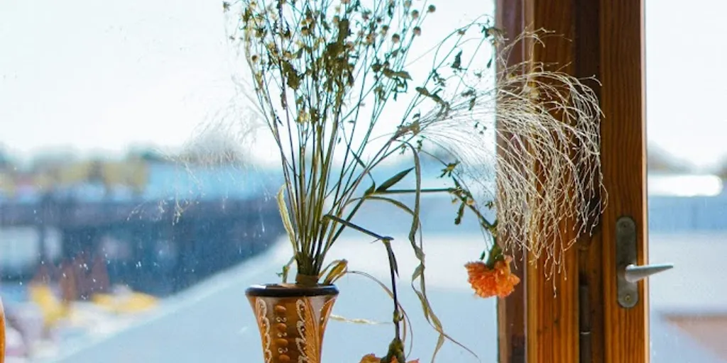 Joga Szczecin 🧘‍♀️ Holi Studio - Zdjęcie 2