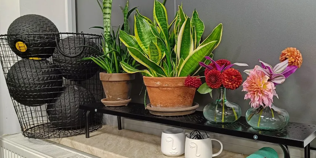 GymRoom Re-Forma - Zdjęcie 9