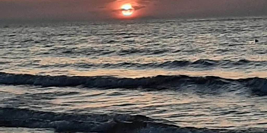 Szkoła Jogi Ałły Raginis - Zdjęcie 8