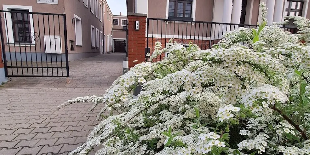 Studio Sananda Szkoła Yogi - Joga Poznań - Zdjęcie 3