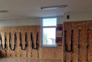 Bumblebee Joga Małgorzata Trzmiel