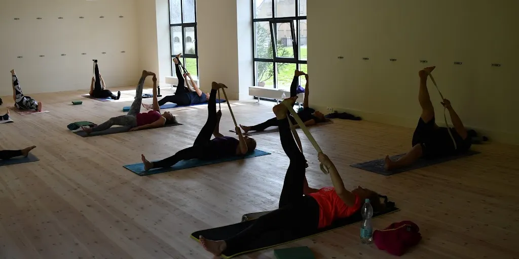 Strefa Yogi - Zdjęcie 3