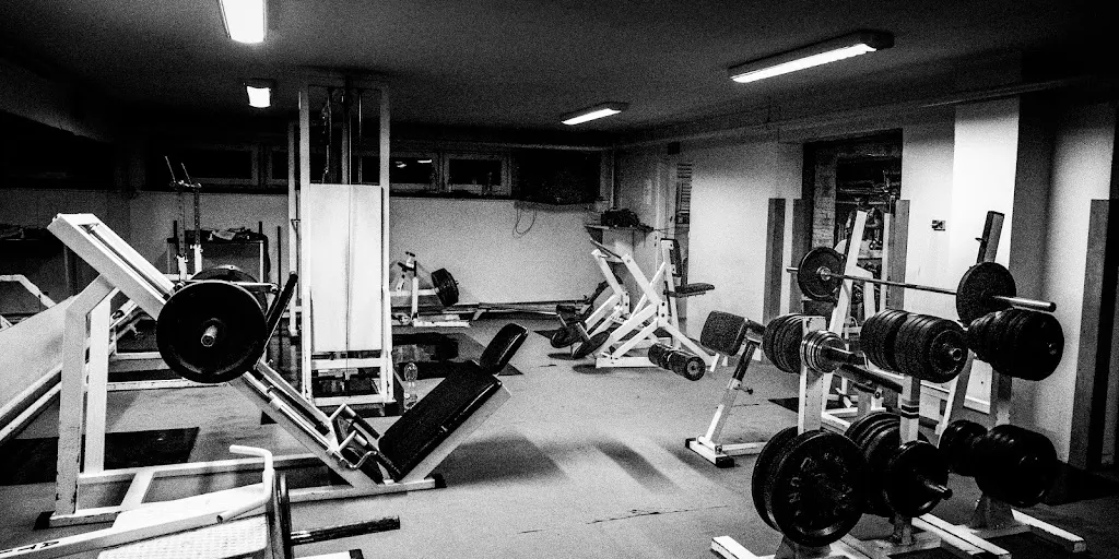 Olimp Fight And Power Gym - Zdjęcie 6